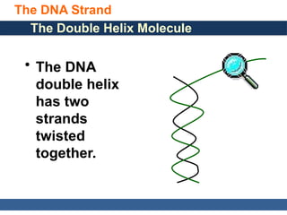 General, Organic, and Biological Chemistry: Structures of Life, 5/e
Karen C. Timberlake
© 2016 Pearson Education, Inc.
The DNA Strand
The Double Helix Molecule
• The DNA
double helix
has two
strands
twisted
together.
 