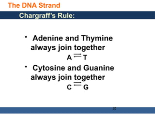 General, Organic, and Biological Chemistry: Structures of Life, 5/e
Karen C. Timberlake
© 2016 Pearson Education, Inc.
The DNA Strand
35
35
Chargraff’s Rule:
• Adenine and Thymine
always join together
A T
• Cytosine and Guanine
always join together
C G
 