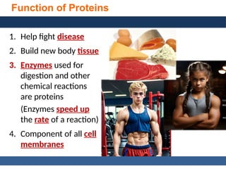 General, Organic, and Biological Chemistry: Structures of Life, 5/e
Karen C. Timberlake
© 2016 Pearson Education, Inc.
Function of Proteins
1. Help fight disease
2. Build new body tissue
3. Enzymes used for
digestion and other
chemical reactions
are proteins
(Enzymes speed up
the rate of a reaction)
4. Component of all cell
membranes
 
