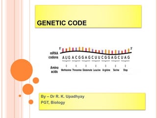 GENETIC CODE
By – Dr R. K. Upadhyay
PGT, Biology
 