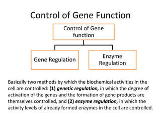 Genetic control | PDF
