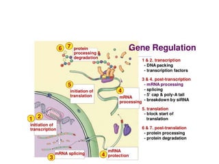 Genetic control | PDF