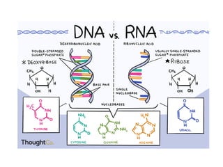 Genetic control | PDF
