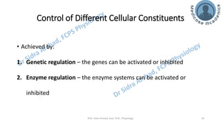 Genetic Control of Cellular Functions.pdf