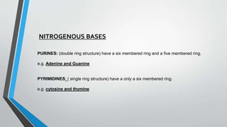 PURINES: (double ring structure) have a six membered ring and a five membered ring.
e.g. Adenine and Guanine
PYRIMIDINES: ( single ring structure) have a only a six membered ring.
e.g. cytosine and thymine
NITROGENOUS BASES
 