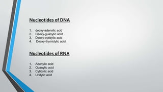 Nucleotides of DNA
1. deoxy-adenylic acid
2. Deoxy-guanylic acid
3. Deoxy-cytidylic acid
4. Deoxy-thymidylic acid
Nucleotides of RNA
1. Adenylic acid
2. Guanylic acid
3. Cytidylic acid
4. Uridylic acid
 