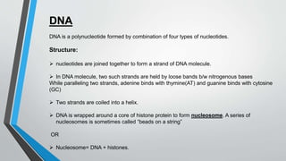 DNA
DNA is a polynucleotide formed by combination of four types of nucleotides.
Structure:
 nucleotides are joined together to form a strand of DNA molecule.
 In DNA molecule, two such strands are held by loose bands b/w nitrogenous bases
While paralleling two strands, adenine binds with thymine(AT) and guanine binds with cytosine
(GC)
 Two strands are coiled into a helix.
 DNA is wrapped around a core of histone protein to form nucleosome. A series of
nucleosomes is sometimes called “beads on a string”
OR
 Nucleosome= DNA + histones.
 