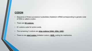 CODON
• Sequence of three successive nucleotides (triplets)in mRNA corresponding to genetic code
of DNA is called a codon.
• There are 64 codons:
• 61 codons code for amino acids.
• The remaining 3 codons are stop codons (UAA, UGA, UAG)
• There is one start codon (initiation codon), AUG, coding for methionine.
 