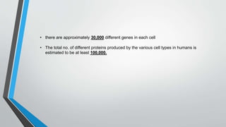 • there are approximately 30,000 different genes in each cell
• The total no. of different proteins produced by the various cell types in humans is
estimated to be at least 100,000.
 