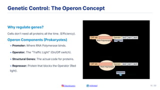 Genetic Control of Protein Synthesis & Cell Reproduction – High-Yield ...