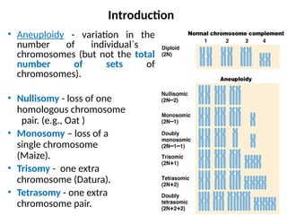 Genetic Counseling dealing on the role of genetics and environment.pptx ...