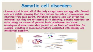 genetic counselling.pptx