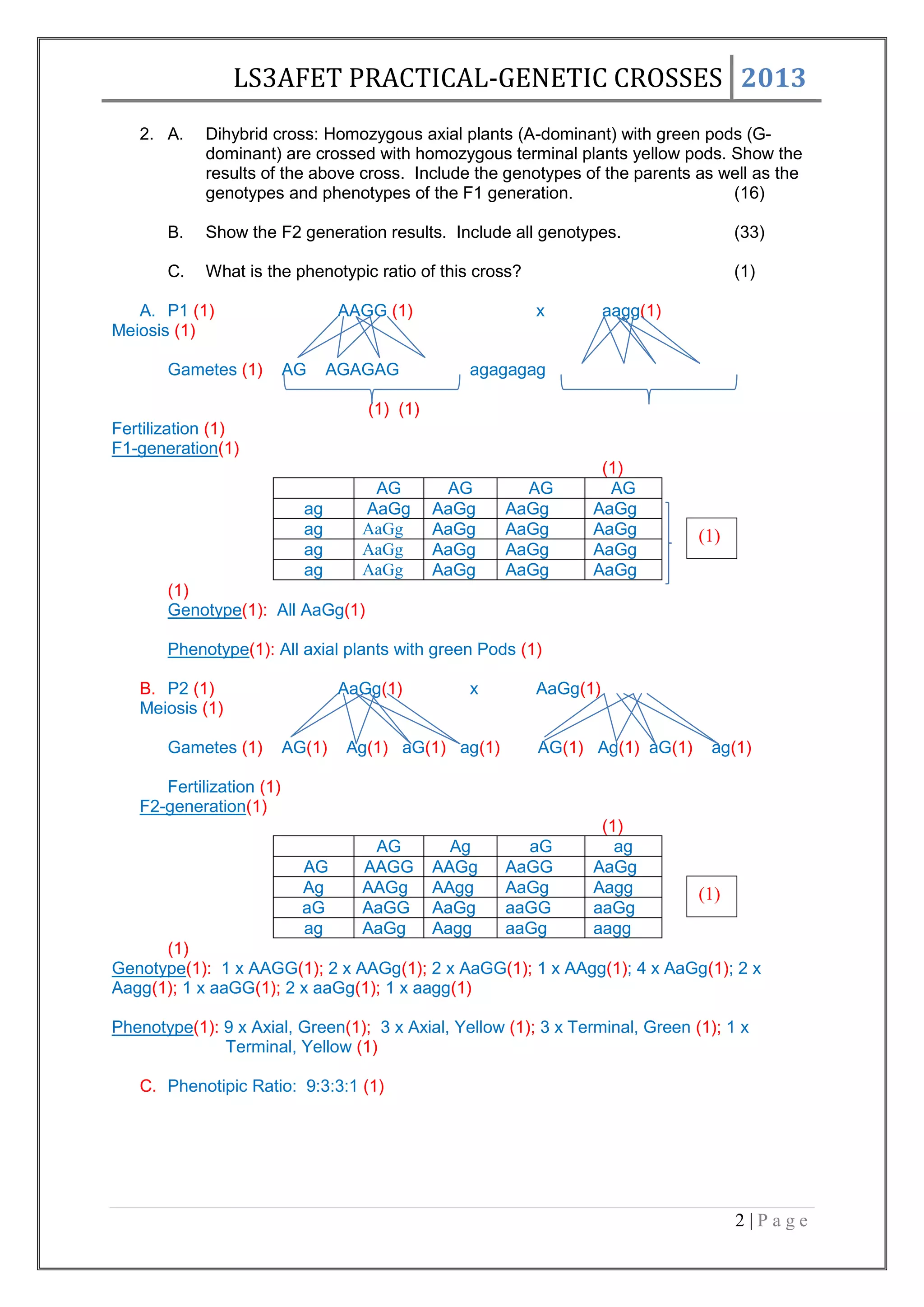 Dihybrid Cross Practice - Genetics Worksheet Worksheet, image size:2048x2896