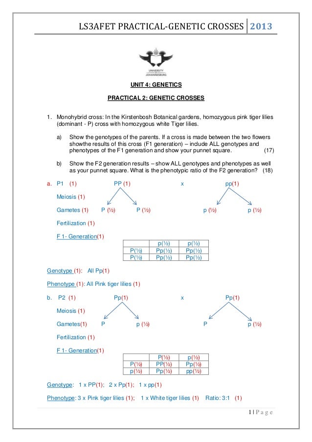 Genetic crosses worksheet