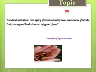 Topic
on
“Genetic deterioration / Seed ageing of improved variety seed, Maintenance of Genetic
Purityduringseed Production andsafeguard of seed”
Department of AgricultureBotany
 