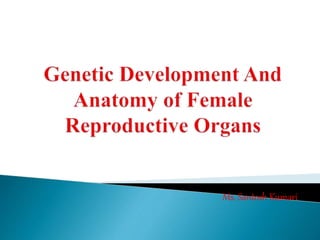Genetic development and anatomy of female reproductive organs