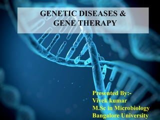 GENETIC DISEASES &
GENE THERAPY
Presented By:-
Vivek kumar
M.Sc in Microbiology
Bangalore University
 