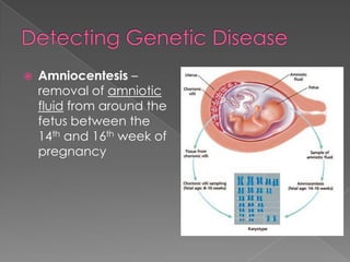    Amniocentesis –
    removal of amniotic
    fluid from around the
    fetus between the
    14th and 16th week of
    pregnancy
 