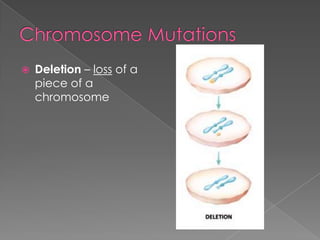    Deletion – loss of a
    piece of a
    chromosome
 