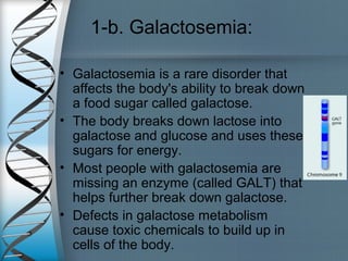 1-b. Galactosemia:
• Galactosemia is a rare disorder that
affects the body's ability to break down
a food sugar called galactose.
• The body breaks down lactose into
galactose and glucose and uses these
sugars for energy.
• Most people with galactosemia are
missing an enzyme (called GALT) that
helps further break down galactose.
• Defects in galactose metabolism
cause toxic chemicals to build up in
cells of the body.
 