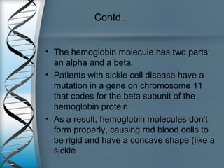 Contd..
• The hemoglobin molecule has two parts:
an alpha and a beta.
• Patients with sickle cell disease have a
mutation in a gene on chromosome 11
that codes for the beta subunit of the
hemoglobin protein.
• As a result, hemoglobin molecules don't
form properly, causing red blood cells to
be rigid and have a concave shape (like a
sickle
 