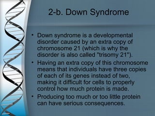 2-b. Down Syndrome
• Down syndrome is a developmental
disorder caused by an extra copy of
chromosome 21 (which is why the
disorder is also called "trisomy 21").
• Having an extra copy of this chromosome
means that individuals have three copies
of each of its genes instead of two,
making it difficult for cells to properly
control how much protein is made.
• Producing too much or too little protein
can have serious consequences.
 
