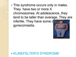 .
 This syndrome occurs only in males.
They have two or more X
chromosomes. At adolescence, they
tend to be taller than average. They are
infertile. They have some degree of
gynecomastia.
 KLINEFELTER’S SYNDROME
 