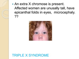 .
 An extra X chromose is present.
Affected women are unusally tall, have
epicanthal folds in eyes, microcephaly.
??
TRIPLE X SYNDROME
 