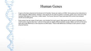 Human Genes
 A gene is the basic physical and functional unit of heredity. Genes are made up of DNA. Some genes act as instructions to
make molecules called proteins. However, many genes do not code for proteins. In humans, genes vary in size from a few
hundred DNA bases to more than 2 million bases. The Human Genome Project estimated that humans have between
20,000 and 25,000 genes.
 Every person has two copies of each gene, one inherited from each parent. Most genes are the same in all people, but a
small number of genes (less than 1 percent of the total) are slightly different between people. Alleles are forms of the same
gene with small differences in their sequence of DNA bases. These small differences contribute to each person’s unique
physical features.
 