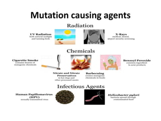 Mutation causing agents
 