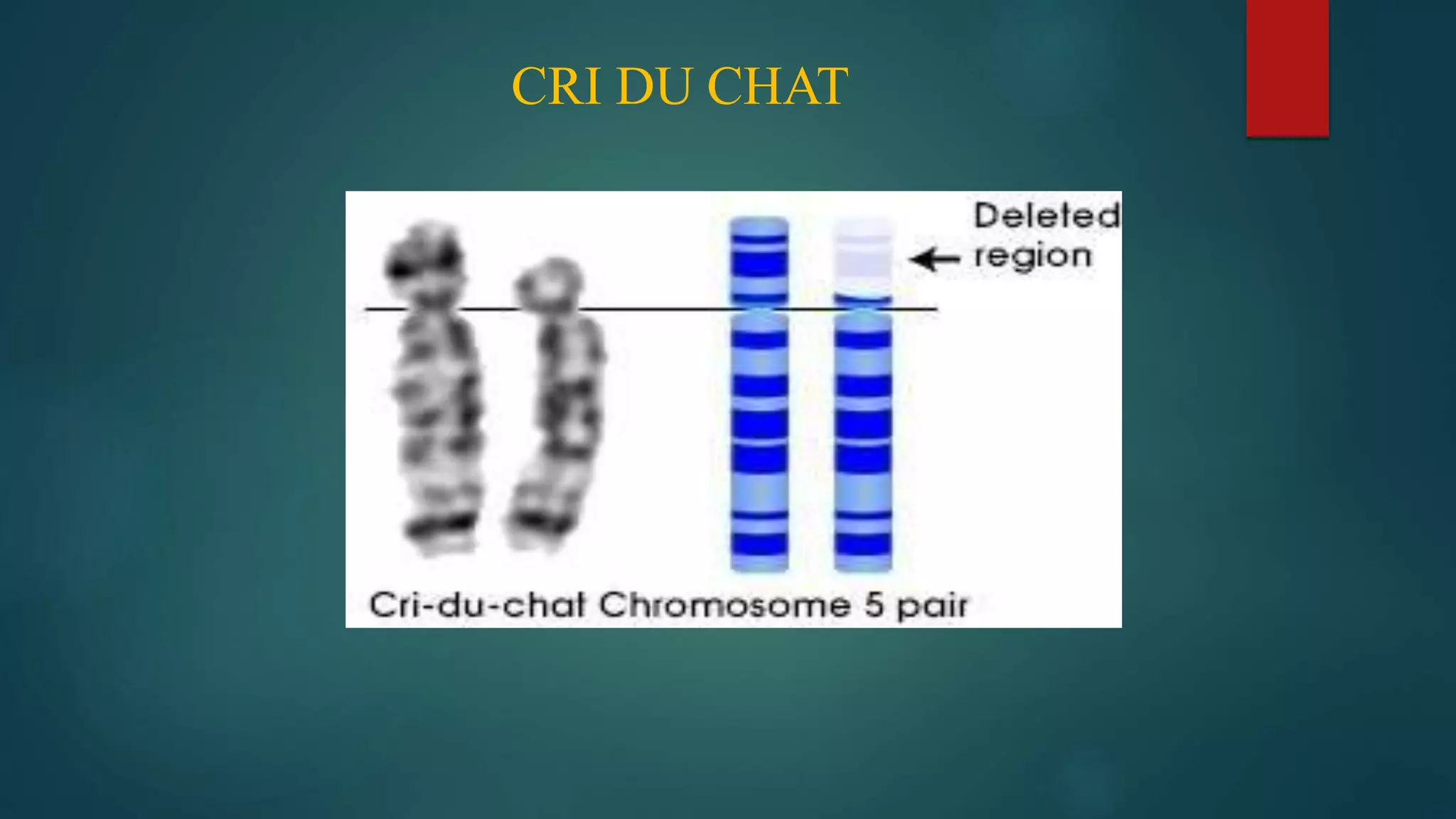 Genetic disorder and Chromosomal abnormalities | PPTX