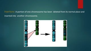 Insertions: A portion of one chromosome has been deleted from its normal place and
inserted into another chromosome.
 
