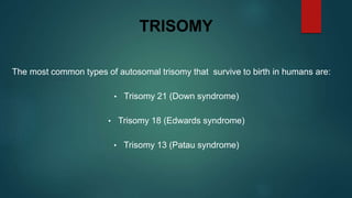 TRISOMY
The most common types of autosomal trisomy that survive to birth in humans are:
• Trisomy 21 (Down syndrome)
• Trisomy 18 (Edwards syndrome)
• Trisomy 13 (Patau syndrome)
 
