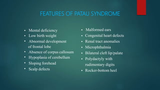 FEATURES OF PATAU SYNDROME
•
•
•
•
•
•
•
Mental deficiency
Low birth weight
Abnormal development
of frontal lobe
Absence of corpus callosum
Hypoplasia of cerebellum
Sloping forehead
Scalp defects
•
•
•
•
•
•
•
Malformed ears
Congenital heart defects
Renal tract anomalies
Microphthalmia
Bilateral cleft lip/palate
Polydactyly with
rudimentary digits
Rocker-bottom heel
 