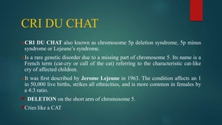 CRI DU CHAT
CRI DU CHAT also known as chromosome 5p deletion syndrome, 5p minus
syndrome or Lejeune’s syndrome.
Is a rare genetic disorder due to a missing part of chromosome 5. Its name is a
French term (cat-cry or call of the cat) referring to the characteristic cat-like
cry of affected children.
It was first described by Jerome Lejeune in 1963. The condition affects an 1
in 50,000 live births, strikes all ethnicities, and is more common in females by
a 4:3 ratio.
DELETION on the short arm of chromosome 5.
Cries like a CAT
 