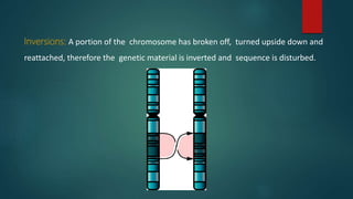 Inversions: A portion of the chromosome has broken off, turned upside down and
reattached, therefore the genetic material is inverted and sequence is disturbed.
 