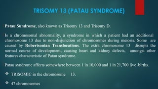 TRISOMY 13 (PATAU SYNDROME)
 Patau Sundrome, also known as Trisomy 13 and Trisomy D.
 Is a chromosomal abnormality, a syndrome in which a patient had an additional
chromosome 13 due to non-disjunction of chromosomes during meiosis. Some are
caused by Robertsonian Translocations. The extra chromosome 13 disrupts the
normal course of development, causing heart and kidney defects, amongst other
features characteristic of Patau syndrome.
 Patau syndrome affects somewhere between 1 in 10,000 and 1 in 21,700 live births.
 TRISOMIC in the chromosome 13.
 47 chromosomes
 