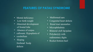 FEATURES OF PATAU SYNDROME
•
•
•
•
•
•
•
Mental deficiency
Low birth weight
Abnormal development
of frontal lobe
Absence of corpus
callosum Hypoplasia of
cerebellum
Sloping
forehead Scalp
defects
•
•
•
•
•
•
•
Malformed ears
Congenital heart defects
Renal tract anomalies
Microphthalmia
Bilateral cleft lip/palate
Polydactyly with
rudimentary digits
Rocker-bottom heel
 