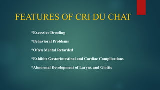 FEATURES OF CRI DU CHAT
*Excessive Drooling
*Behavioral Problems
*Often Mental Retarded
*Exhibits Gastorintestinal and Cardiac Complications
*Abnormal Development of Larynx and Glottis
 