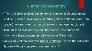 Numerical Anomaly
• This is called aneuploidy (an abnormal number of chromosomes),
and occurs when an individual is missing either a chromosome from
a pair (monosomy) or has more than two chromosomes of a pair.
• In humans an example of a condition caused by a numerical
anomaly is Down Syndrome, also known as Trisomy 21 .
• An example of monosomy is Turner Syndrome, where the individual
is born with only one sex chromosome, an X.
 