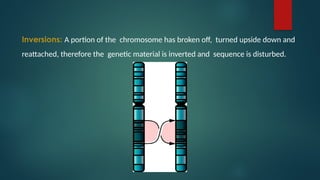 Inversions: A portion of the chromosome has broken off, turned upside down and
reattached, therefore the genetic material is inverted and sequence is disturbed.
 