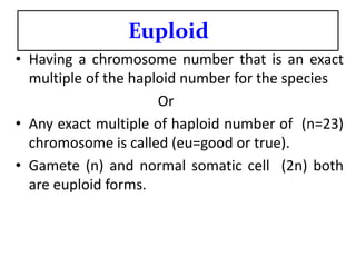 Euploid Example Genetic disorder power point lecture by Hamid Khan | PDF