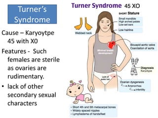Genetic Disorders | PPTX