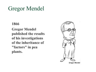 Gregor Mendel

 1866
 Gregor Mendel
 published the results
 of his investigations
 of the inheritance of
 "factors" in pea
 plants.
 