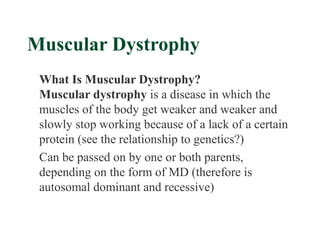Muscular Dystrophy
 What Is Muscular Dystrophy?
 Muscular dystrophy is a disease in which the
 muscles of the body get weaker and weaker and
 slowly stop working because of a lack of a certain
 protein (see the relationship to genetics?)
 Can be passed on by one or both parents,
 depending on the form of MD (therefore is
 autosomal dominant and recessive)
 