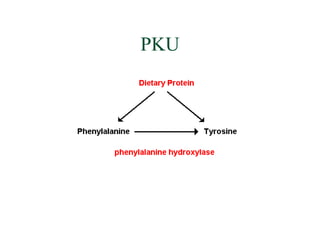 PKU
 