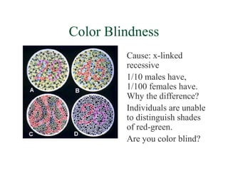 Color Blindness
         Cause: x-linked
         recessive
         1/10 males have,
         1/100 females have.
         Why the difference?
         Individuals are unable
         to distinguish shades
         of red-green.
         Are you color blind?
 