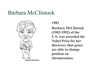 Barbara McClintock
                1983
                Barbara McClintock
                (1902-1992) of the
                U.S. was awarded the
                Nobel Prize for her
                discovery that genes
                are able to change
                position on
                chromosomes.
 