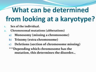 What can be determined
from looking at a karyotype?
1. Sex of the individual.
2. Chromosomal mutations (abberations)
a) Monosomy (missing a chromosome)
b) Trisomy (extra chromosome)
c) Deletions (section of chromosome missing)
***Depending which chromosome has the
mutation, this determines the disorder…
 