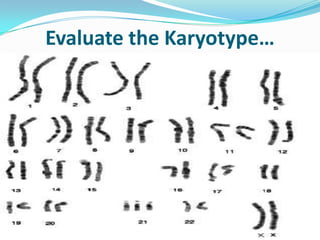 Evaluate the Karyotype…
 